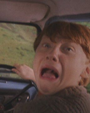 Ron Weasley Funny, Harry Potter Funny Pictures, Harry Potter Groups, Ron And Harry, Cute Harry Potter, Harry Potter Ron, Rupert Grint, Ron And Hermione, Casting Pics