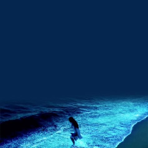 Amazing Places in The World to Visit: Maldives Beach at Night Maldives Beach, Ocean At Night, Sea Of Stars, Beach At Night, Trik Fotografi, Aesthetic Gif, Dance Photography, In The Ocean, Blue Aesthetic