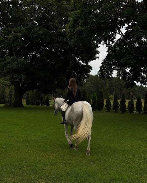 I waited for a Prince on a white horse for too long, so I mounted the horse myself 🐎 Wearing @lichi_brand blazer ⚜️ White Horse Aesthetic, Dressage Aesthetic, Equitation Aesthetic, Lichi Brand, English Horseback Riding, Horse Girl Aesthetic, Horse Riding Aesthetic, Horse Back Riding, Horse Dressage