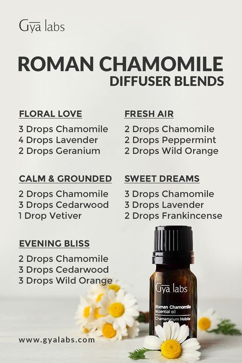 Collection of Roman Chamomile essential oil blends displayed in elegant bottles, representing tranquility and peacefulness. #RomanChamomileOil #SerenityBlends #Aromatherapy German Chamomile Essential Oil, Roman Chamomile Essential Oil, Fragrance Oil Blends, Oil For Skin, Essential Oil Diffuser Blends Recipes, Essential Oil Remedy, Essential Oils Health, Oil Diffuser Recipes, Essential Oil Diffuser Recipes