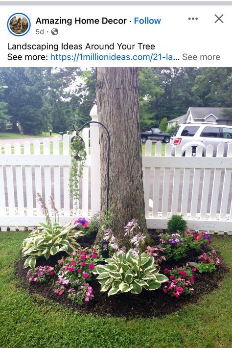 Plants In Mulch Landscaping Ideas, Black Mulch Around Tree, Mulch Around Trees, Tree Mulch, Landscaping Around Trees, Mulch Landscaping, Backyard Trees, Outdoor Patio Designs, Backyard Flowers