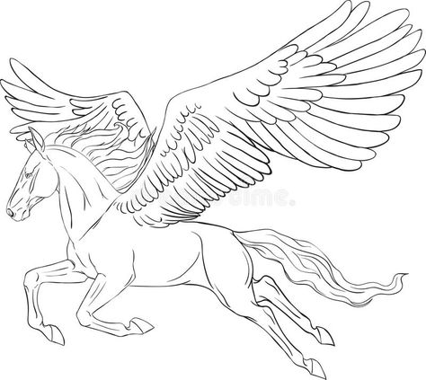 Pegasus Coloring Pages, Pegasus Drawing, Pegasus Tattoo, Gorgon Medusa, Wings Sketch, Realistic Animal Drawings, Cow Photos, Realistic Illustration, Pencil Drawings Of Animals