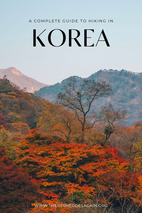 Hiking In Korea, Seoul Hiking, Visiting Korea, About South Korea, Night Hiking, Seoul Travel, There She Goes, South Korea Travel, Hiking Aesthetic