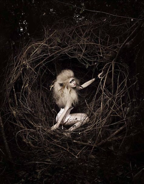 Bird Photoshoot, Allison Harvard, America's Next Top Model, Fantasy Photography, Next Top Model, Exotic Birds, Shoot Inspiration, Bird Photo, Back To Nature