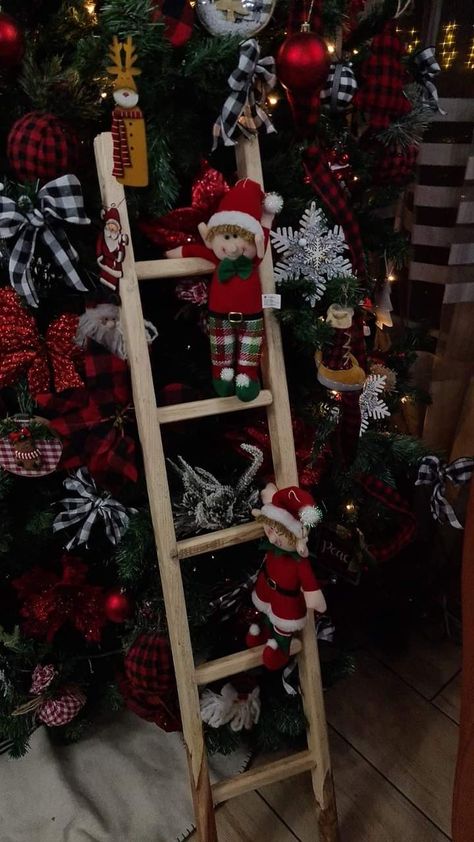 Xmas Ladder Ideas, Diy Christmas Ladder Ideas, Christmas Ladder Decor, Christmas Ladders Ideas, Kitchen Organizing Ideas, Christmas Ladder, Outdoor Christmas Decoration Ideas, Outdoor Decoration Ideas, Vintage Plants