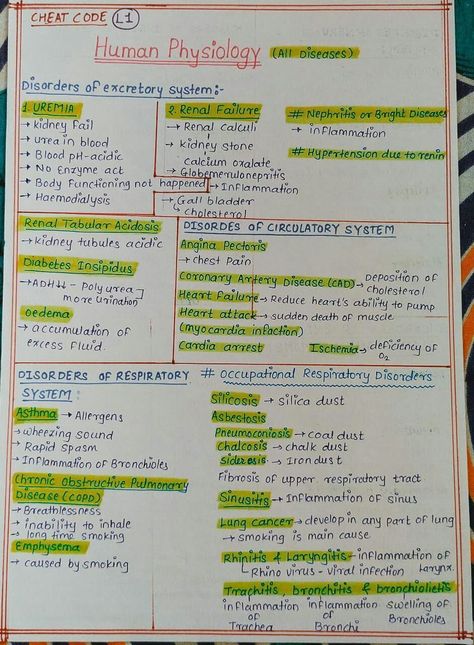 Excretion In Humans Notes, Csir Net Life Science Notes, Mlt Notes, Cell Biology Notes, Bio Notes, Neet Notes, Learn Biology, Chemistry Basics, Learn Physics