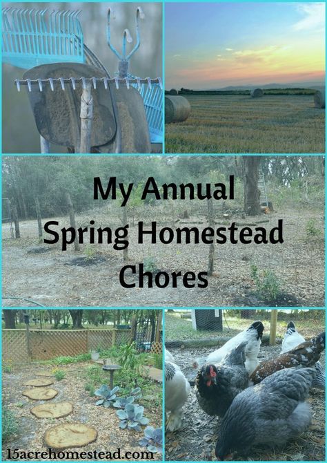 My annual spring homestead chores keeps my homestead running smoothly and more efficiently. Spring Homestead, Acre Homestead, The Barnyard, General Ideas, Mini Farm, The Routine, Homestead Survival, Planning And Organizing, Make It Easy