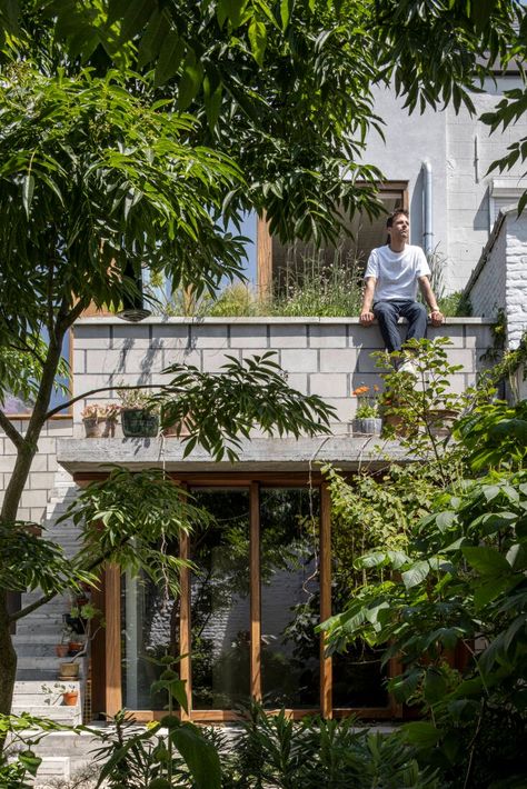 Urban Garden: A Row House in Ghent Gets a Stunning Makeover, Complete with Green Roof Gardening Trends, Roof Architecture, Planting Hydrangeas, Garden Animals, Landscape Architecture Design, Garden Architecture, Row House, Public Garden, Garden Tours