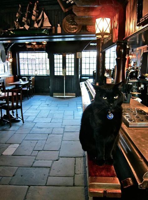 Pub Interior, British Pub, Stone Floor, Old Pub, London Pubs, Pub Signs, Pub Crawl, A Black Cat, Old Stone