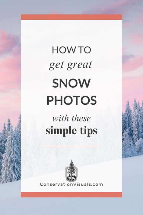 Capture the beauty of winter landscapes with our expert snow photography tips! Whether you're a beginner or an experienced nature photographer, this guide has everything you need to take stunning photos in the snow. Discover the best equipment, learn essential techniques, and get inspired to create breathtaking images. Don't let the snow deter you from capturing incredible moments. Snow Photography Ideas Nature, Snow Preparation Tips, Snow Forest Photography, Photoshoot In Snow Winter Photography, Winter Photography Nature, Birds In Snow Photography, Shooting In Raw, Polarizing Filter, Exposure Compensation