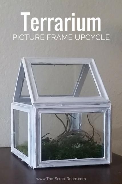 Picture Frame Upcycle, Frame Upcycle, Upcycle Frames, Picture Frame Crafts, Dollar Store Hacks, Diy Picture Frames, Terrarium Diy, Tree Crafts, Frame Crafts