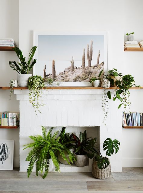 Empty Fireplace Ideas, Unused Fireplace, Cosy Fireplace, Lots Of Plants, Fake Fireplace, Fireplace Mantle Decor, Decorating Bookshelves, Fireplace Mantel Decor, Faux Fireplace