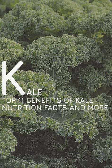 Kale Nutrition Facts, Kale Benefits, Benefits Of Kale, Kale Benefits Health, Kale Kale, Kale Juice, How To Cook Kale, Sources Of Vitamin A, Kale Recipes