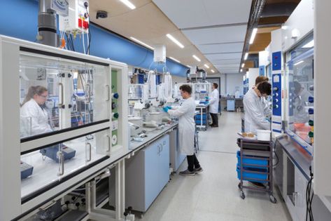 University Chemistry, Rainforest Project, Chemistry Laboratory, Laboratory Design, Home Lab, University Of Nottingham, Chemistry Lab, Office Interior Design Modern, Innovation Lab