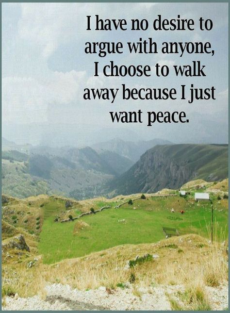 Quotes: Inner Peace Quotes No Peace Quotes, No Arguments Quotes, Quotes Arguments, Family Argument Quotes, Im At Peace Quotes, Argue Quotes, Arguments Quotes, Arguing Quotes, Argument Quotes