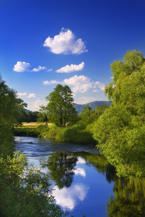 Reflection in the River. Landscape with blue sky and tree reflecting in the wate , #spon, #Landscape, #blue, #Reflection, #River, #reflecting #ad 숲 사진, Blue Reflection, Landscape Blue, Blue Landscape, Sky Tree, River Landscape, Landscape Photography Nature, Beautiful Places Nature, Beautiful Scenery Nature