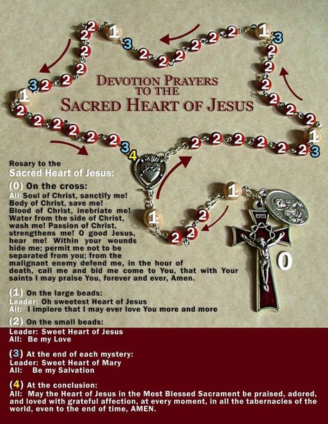 Chaplet of Sacred Heart of Jesus – Apostleship of Prayer – St. Pius X Philippines Sacred Heart Novena, Sacred Heart Devotion, Rosary Prayers Catholic, The Blessed Mother, Catholic Beliefs, The Sacred Heart Of Jesus, Novena Prayers, Body Of Christ, Blood Of Christ