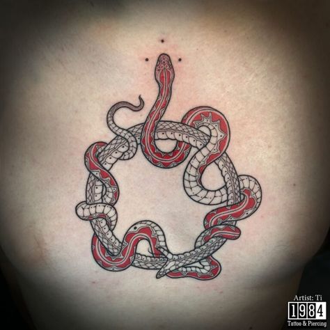 220+ Exciting Ouroboros Tattoo Designs For Men and Women (2023) - TattoosBoyGirl Self Eating Snake Tattoo, Snake Eating Its Tail Tattoo, Snake Eating Tail Tattoo, Snake Jaw Tattoo, Snake Eating Itself Tattoo Meaning, Snake Circle Tattoo, Snake In Circle, Nordic Snake, Snake Eating Itself Tattoo