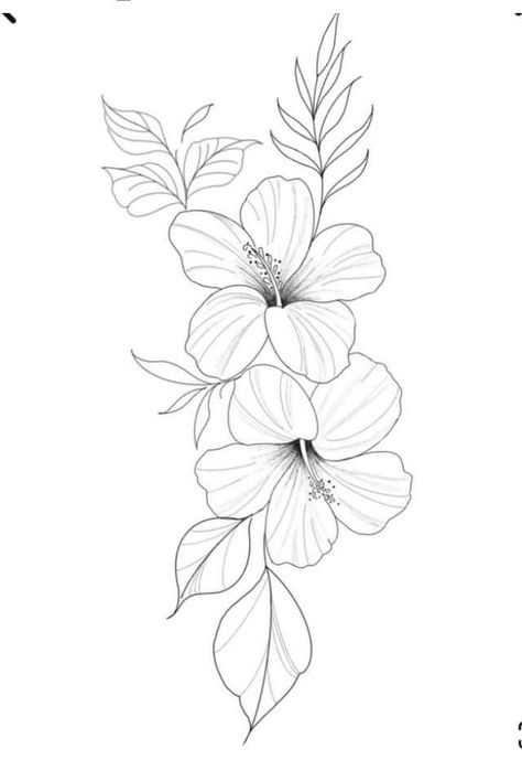 Tattoo Designs Traditional, Plumeria Flower Tattoos, Tropical Flower Tattoos, Flower Vine Tattoos, Hawaiian Flower Tattoos, Flower Tattoo Stencils, Hibiscus Flower Tattoos, Rose Drawing Tattoo, Hibiscus Tattoo