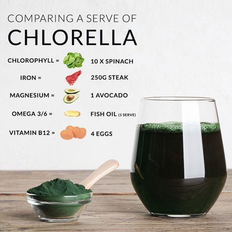 Chlorella Benefits, Ayurveda Kapha, Best Vegan Protein Powder, Sugar Free Lemonade, Kapha Dosha, Best Vegan Protein, Vegan Protein Powder, The Great Barrier Reef, Single Serving