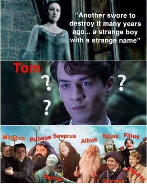 Tom Marvolo Riddle, Slytherin Funny, Citate Harry Potter, Harry Potter Parody, Glume Harry Potter, Funny Harry Potter Jokes, Severus Rogue, Harry Potter Memes Hilarious, Harry Potter Feels