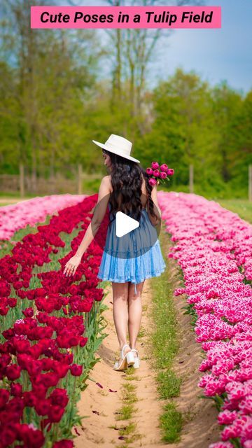 Kriti Kushwaha | Travel & Posing on Instagram: "3 cute poses to try in a Tulip Field.💐 Which one’s your favorite?💖  Like and follow @wanderesskriti for more tips and tricks.💕   Outfit linked in the bio.👗 Follow my shop on the LTK app to shop this post and get my exclusive app-only content! Link in bio.🤗  #howtopose #posingtips #posingideas #posing #photoshoot #photoshootideas #posingforthecamera #reelsinstagram #creativity #poseideas #photoposes #tipsandtricks #phototips #posesforpictures #trending" Poses For Tulip Garden, Tulip Garden Poses, Tulip Field Photo Ideas, Tulip Picking Photos, Tulip Feild Pics, Posing Tips, Tulip Fields, Cute Poses, Poses For Pictures