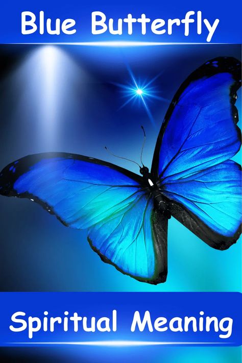 Blue Butterfly [Spiritual Meaning & Symbolism] Blue Butterfly Spiritual Meaning, Monarch Butterfly Meaning, Blue Butterfly Meaning, Butterfly Spiritual Meaning, Butterfly Spiritual, Karner Blue Butterfly, Butterfly Symbolism, Meaning Of Blue, Butterfly Meaning