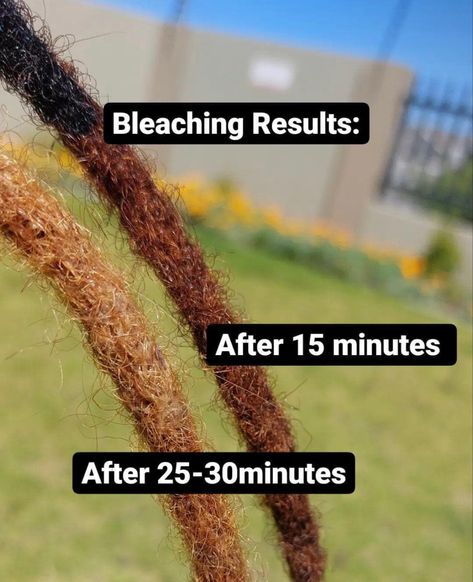 Bleached Locs, Locs Hairstyles, Black People, Locs, Bleach, Hair Color, Hairstyles, Hair Styles, Hair