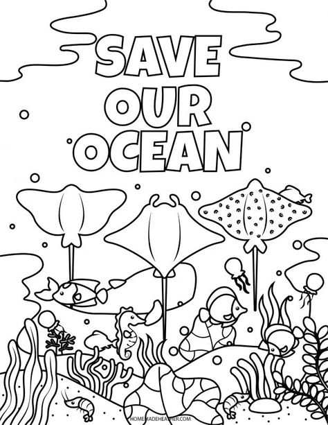 Ocean Worksheets For Kids, Beach Worksheets For Kids, Beach Worksheet, Clay Jellyfish, Kid Worksheets, Nature Scavenger Hunt Printable, Party Coloring Pages, Dinosaur Week, Plants Worksheets