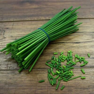 Chives – Allium Schoenoprasum. The pink decorative flowers are also edible. New Condition. Fast dispatch on your order. Birstall, Batley. Crillys Ltd. March - April. Sow Outdoors. Chive Plant, Easiest Herbs To Grow, Chive Seeds, Allium Schoenoprasum, Chives Plant, Easy Herbs To Grow, Chinese Chives, Cool Beans, Cheese Dishes