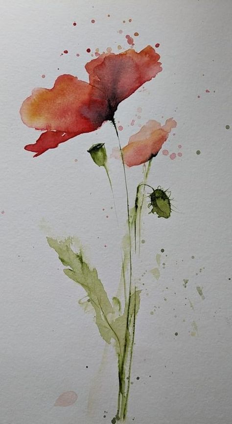 Poppy Flower Drawing, Poppy Flower Painting, Loose Watercolor Flowers, Poppy Drawing, Easy Flower Painting, Watercolor Art Journal, Watercolor Flowers Tutorial, Watercolor Poppies, Flower Painting Canvas