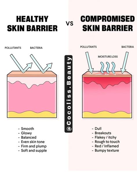 Healthy Skin Barrier is the only thing you need for a Glowing Clear skin. . Protecting and repairing your skin barrier is key to achieving healthy, radiant skin! . Cocoliss All - Day Cream with SPF 50 and Super Recharge Serum work together to: - Repair damaged skin cells - Restore moisture balance - Protect against environmental stressors Key Ingredients: - Hyaluronic Acid for intense hydration - Ceramides for skin barrier repair - Niacinamide for brightening and anti-aging Get your hand... Glowing Clear Skin, Skin Barrier Repair, Clear Glowing Skin, Facial Exercises, Pore Cleansing, Skin Repair, Skincare Tips, Day Cream, Skin Barrier