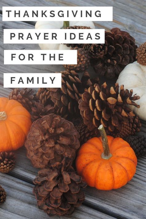 Thanksgiving Prayers For The Family #thanksgiving #prayers Thanksgiving Dinner Prayer, Thanksgiving Prayers For Family, Thanksgiving Prayers, Thanksgiving Play, Fruit Kabob, Dinner Prayer, Thanksgiving Countdown, Family Prayers, Prayer Ideas