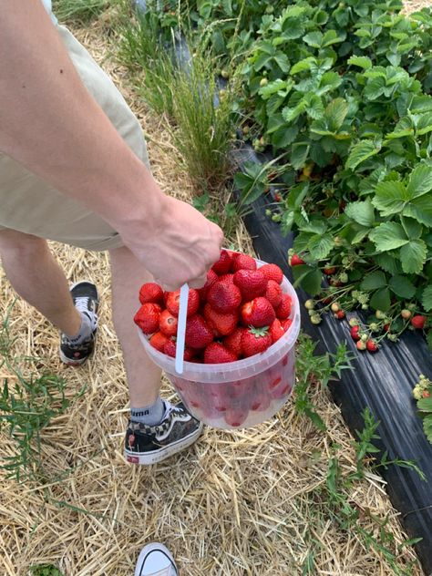 Date Ideas For New Couples Aesthetic, Strawberry Picking Date, Strawberry Picking Aesthetic, Strawberry Picking Pictures, 40s Aesthetic, This Must Be My Dream, Vintage Americana Aesthetic, 50s Aesthetic, Americana Aesthetic