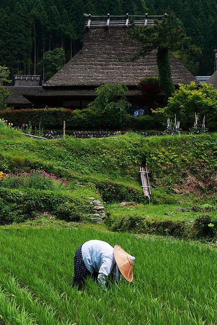 Japanese country landscape 8 Trigrams, Japan Countryside, Kimono Gallery, All About Japan, Country Landscape, Rice Fields, Japanese Gardens, Country Landscaping, Japanese Architecture