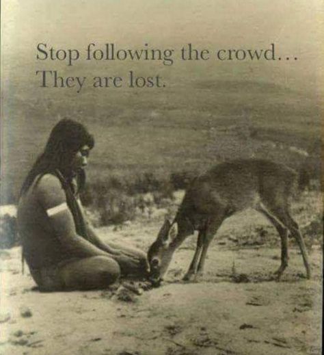 Stop following the crowd, they are lost A Quote, Wise Quotes, Pretty Words, Pretty Quotes, Spiritual Quotes, Beautiful Words, Wisdom Quotes, Inspirational Words, Words Quotes