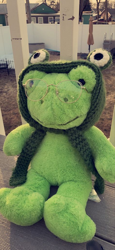 Frog Teddy Aesthetic, Build A Bear Frog Aesthetic Wallpaper, Frog Plushie Aesthetic, Build A Bear Frog Outfits, Build A Bear Frog Aesthetic, Alyssacore Aesthetic, Build A Bear Aesthetic, Frog With Hat, Frog Teddy