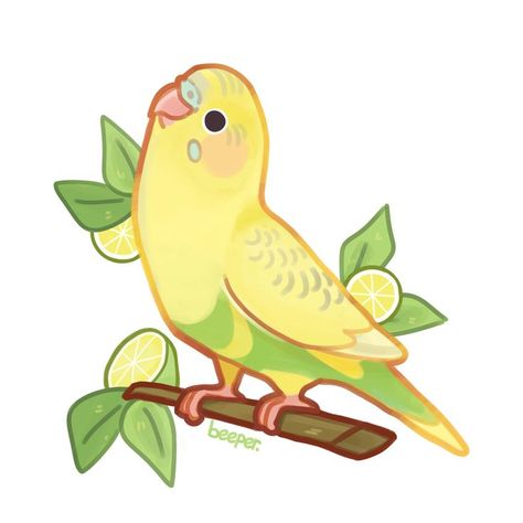 Cute Parakeet, Support Drawing, Parrot Cute, Parakeet Art, Parrot Wallpaper, Lime Fruit, Parrot Drawing, Kawaii Cat Drawing, Animals Love