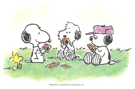 Snoopy Cafe, Snoopy Family, Peanuts Movie, Snoopy Images, Puppy Art, Snoopy Wallpaper, Snoopy Pictures, Snoop Dog, Snoopy Love