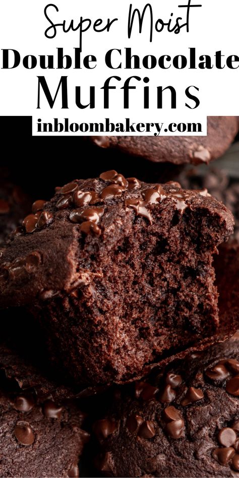 This is the best chocolate muffin recipe! These double chocolate muffins are super moist, packed full of chocolate chips and are extra easy to make. Super Moist Chocolate Muffins, Bakery Style Double Chocolate Muffins, Choco Muffin Recipe, Best Chocolate Muffin Recipe, Fluffy Chocolate Chip Muffins, Chocolate Muffins Moist, Choco Muffins, Chocolate Muffins Recipe, Triple Chocolate Muffins