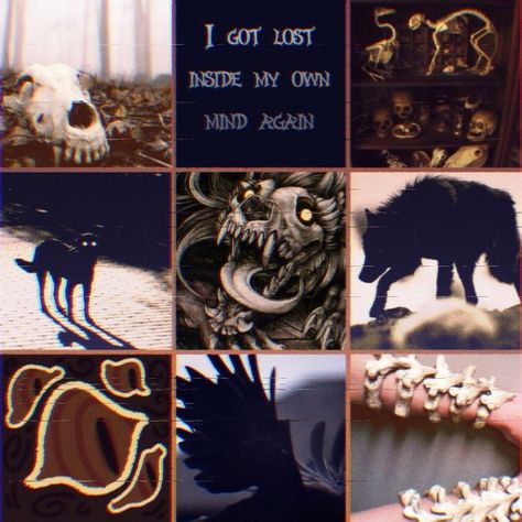 Moodboards Character Inspiration, Moodboard Character Inspiration, Moodboard For Character Design, Moodboards For Characters, Character Moodboard Aesthetic, Insect Moodboard, Crow Moodboard, Animal Mood Board, Scary Moodboard