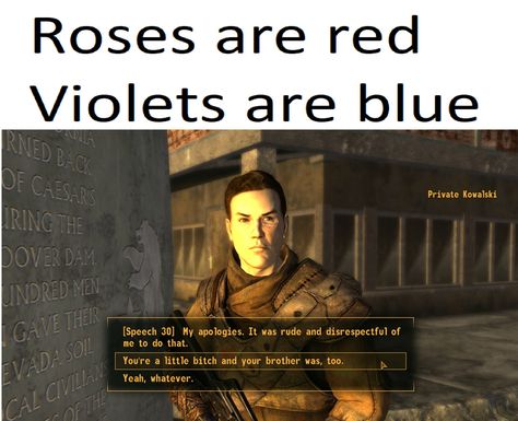 Fallout: New Vegas poem for you. https://ift.tt/2xlaqlm Fallout Meme, Fallout Funny, Video Game Logic, Funny Gaming Memes, Fallout Game, New Vegas, The Fallout, Fallout Art, Video Game Memes