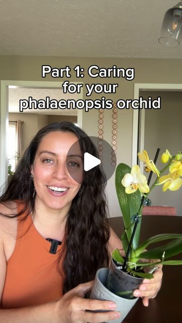 Krystal Duran on Instagram: "My mission is to keep your orchids thriving 🙌🏽  Orchid care is my number one asked about plant and care. I would say, once you get the hang of it, it’s easy, but it can feel intimidating for many.   Part one, is the intro and how to enjoy the plant when you receive. Part two will focus on maintenance after.   Stick around for part 2, consider following along for more planty tips if you haven’t already, and leave any questions down below!  #orchidcare #orchidplant #phalaenopsisorchid" How To Take Care Of Orchids, How To Repot Orchids, How To Care For Orchids, How To Care For Orchids Indoors, Phalaenopsis Orchid Care, Repotting Orchids, Hanging Orchid, Indoor Orchids, Orchid Plant Care