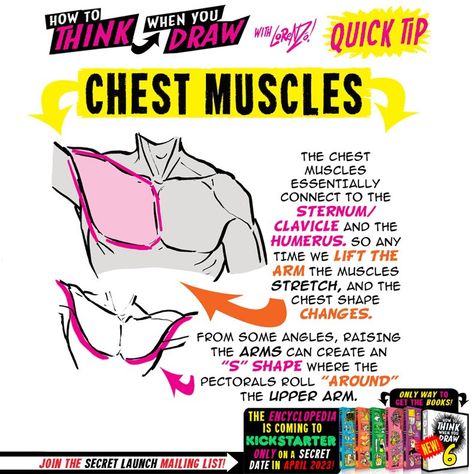 EtheringtonBrothers Anatomy Studies, Anatomy Tutorial, Art Anatomy, Body Drawing Tutorial, Human Anatomy Drawing, How To Think, Chest Muscles, Male Anatomy, Body Reference Drawing