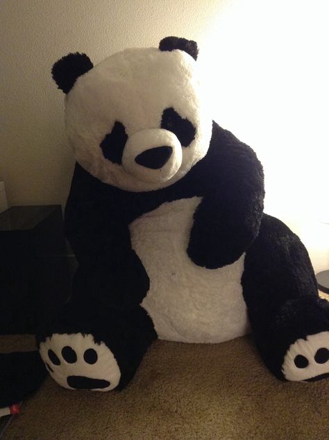 36" stuffed panda from Costco Panda Teddy Bear, Panda Stuffed Animal, Desenho Tom E Jerry, Big Stuffed Animal, Big Panda, Big Teddy Bear, Big Teddy, Giant Teddy Bear, Giant Teddy