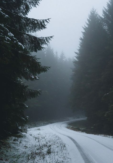 Moody Forest In Snow Perfect For Posters And Canvas Frozen Forest Aesthetic, Snowy Forest Aesthetic, Alaskan Photography, Winter Wallpaper Laptop, Winter Forest Aesthetic, Snow In Forest, Moody Scenery, Winter Wald, Moody Forest