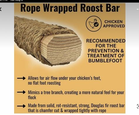 Chicken Roosting Tree, How Many Nesting Boxes For Chickens, Harry Potter Chicken Coop, Chicken Coop Name Signs, Chicken Coop Enrichment Ideas, Chicken Treats Diy, Diy Chicken Roost Ideas, Chicken Coop Roosts, Chicken Coop Must Haves