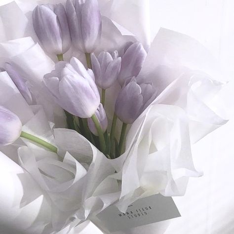 Lilac Aesthetic Flower, Lavender Phone Theme, Luvsoft Purple, Pale Purple Aesthetic, Light Purple Tulips, White And Purple Aesthetic, Soft Lavender Aesthetic, Soft Lilac Aesthetic, Purple And White Aesthetic