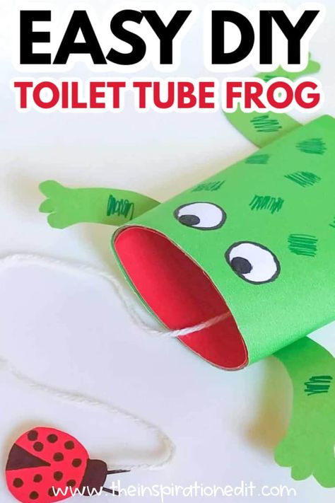 Easy Frog Craft Activity for Kids Frog Craft, Craft Activity For Kids, Toilet Paper Roll Craft, Roll Craft, Frog Crafts, Rainy Day Crafts, Diy Toilet, Summer Crafts For Kids, Animal Crafts For Kids