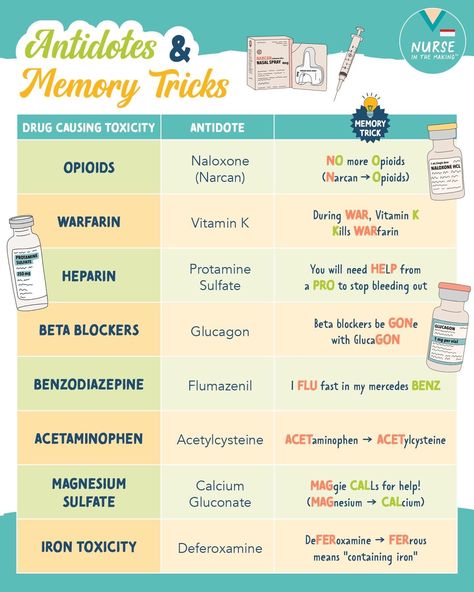 Nursing School Studying Cheat Sheets, Memory Tricks, Nursing Information, Nursing School Essential, Nursing Study Guide, Nursing School Motivation, Nurse Study Notes, Nursing Student Tips, Pharmacology Nursing